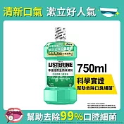 李施德霖溫潤綠薄荷無酒精漱口水750ml