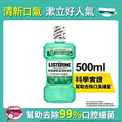 李施德霖溫潤綠薄荷無酒精漱口水500ml