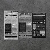 【日本BGM】金箔文字裝飾PET&和紙貼紙2張 ‧ 新聞