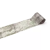 【日本mt和紙膠帶】CASA Thick 厚口壁貼9cm ‧ 斑裂紋理