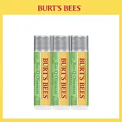 Burt’s Bees 神奇草本修護棒4.25g 3入組