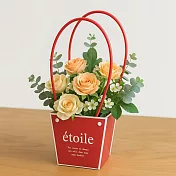 【日本Green House】étoile 萬用禮物裝飾提袋 ‧ 紅