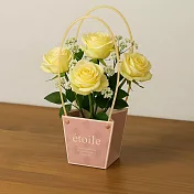 【日本Green House】étoile 萬用禮物裝飾提袋 ‧ 奶茶杏