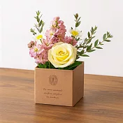 【日本Green House】Favoris 萬用裝飾 收納箱