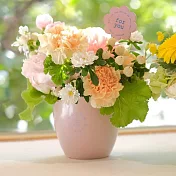 【日本Green House】bonne chance 竹製環保盆栽S ‧ 玫瑰粉