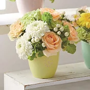 【日本Green House】bonne chance 竹製環保盆栽S ‧ 茉莉黃