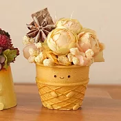 【日本Green House】喫茶店 甜點裝飾小花盆 ‧ 冰淇淋甜筒