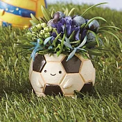 【日本Green House】Sports球類 裝飾小盆栽 ‧ 足球