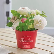【日本Green House】Plein de bonheur 塑膠盆栽M ‧ 玫瑰紅