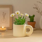【日本Green House】馬克杯造型 陶製裝飾盆栽 ‧ 杏白