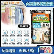 日本ST雞仔牌-防潮脫臭衣櫃吊掛式除濕袋2入/大袋(大型衣櫥用,儲藏室除濕劑,衣架型除濕包,衣物乾燥劑,活性碳顆粒除臭劑,平面型吸濕消悶臭)大黑袋122g