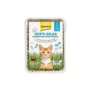 竣寶 新鮮貓草盒裝 DIY 100g/盒 香味軟貓草