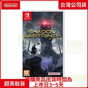 預購 7/17發售 NS 任天堂 Switch 闇鬥迷宮 中文版 臺灣公司貨