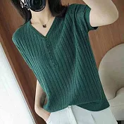 【MsMore】 短袖恤純色V領寬鬆薄款冰絲短版上衣# 124815 FREE 綠色
