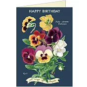 美國 Cavallini & Co. Greeting Cards 卡片/生日卡 _蝴蝶蘭