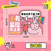 粉紅兔子掛牌 (紀錄)
