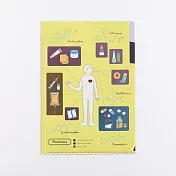 【日本Green Flash】STUDY HOLIC知識狂熱 雙層資料夾A5 ‧ 藥學