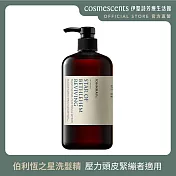 【伊聖詩】伯利恆之星洗髮精500ml．約翰森林JOHNRAY