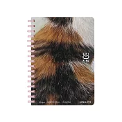 KOKUYO Campus軟線圈10週年限定筆記本方眼 A6-三花貓