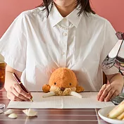 Dreams Posture Pal 坐姿伴偶 第八彈  海象