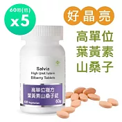 【SALVIA】Salvia高單位複方葉黃素山桑子錠 5瓶共300顆