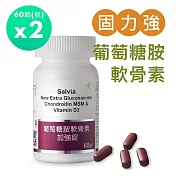 【SALVIA】Salvia葡萄糖胺軟骨素加強錠2瓶共120顆
