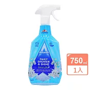 英國ASTONISH浴廁清潔劑750ml(白百合)