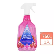 英國ASTONISH抗菌表面清潔劑750ml(石榴和覆盆子)