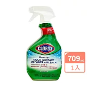 CLOROX萬用強效去污漂白清潔劑24oz/709ml