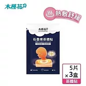 【HIBIS木槿花】石墨烯蒸體貼x5入/盒x3入組