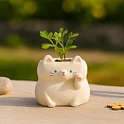 【日本Green House】招福貓咪 裝飾小盆栽 ‧ 白貓