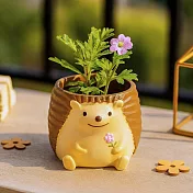 【日本Green House】可愛動物 裝飾小盆栽 ‧ 刺蝟