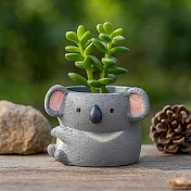 【日本Green House】可愛動物 裝飾小盆栽 ‧ 無尾熊