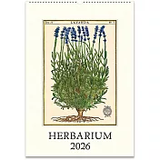 美國 Cavallini &Co. 2026 掛曆/月曆 _Herbarium