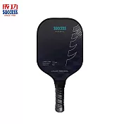 成功 S2902 碳纖維匹克球拍
