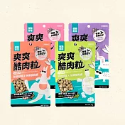 【怪獸部落】爽爽酷肉粒凍乾 -鱉肉20g