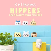 Dreams HIPPERS 守護天使 Chiikawa 聯名公仔  (盒裝12入)