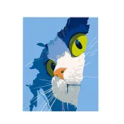 【上手家居】DIY數字油畫 40*50cm(壁畫/裝飾畫/玄關掛畫/彩繪/diy材料包) 藍色凝視