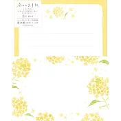 【日本Wa-Life】春限定｜今日的美濃和紙信封紙組 ‧ 油菜花