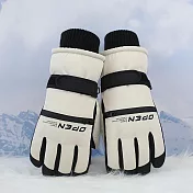 【KISSDIAMOND】韓系防風防水保暖手套(KDG-2321) FREE 米色