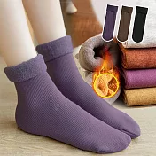 【AnZa】仿山羊絨加絨加厚保暖地板襪中筒襪(3入組)     C組(紫、咖、黑)
