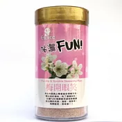 《佳輝香料》沾灑FUN! 梅子調味粉