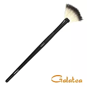 【Galatea葛拉蒂】鑽顏系列 10BA羊毛扇形餘粉刷(彩妝刷具/刷具/化妝刷/修容刷)