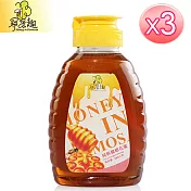 【尋蜜趣】純粹龍眼花蜜 380g*3入(非常適合上班族使用)