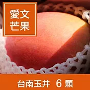 【一籃子】外銷日本A+等級台南玉井【愛文芒果】5斤6粒