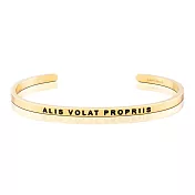 MANTRABAND 美國悄悄話手環 ALIS VOLAT PROPRIIS 振翅飛翔 拉丁文版 金色