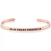 MANTRABAND 美國悄悄話手環 ALIS VOLAT PROPRIIS 振翅飛翔 拉丁文版 玫瑰金手環