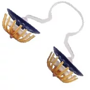 日本-PM2.5隱形口罩3入裝附收納盒（PM2.5對應/鼻水吸收加強型)-標準尺寸