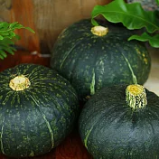 [ 大目農田 ]栗子南瓜30斤 - 淡淡栗子香氣，健康守護者（含運）