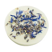 【安垛小姐】BadeFee 海洋.泡澡 Cookie 30g~40g